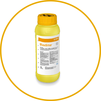 Maxtima®