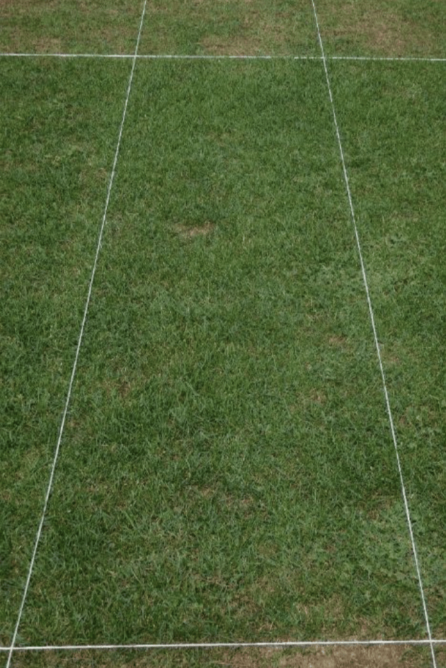 Compo-Expert Enforce<sup>®</sup> trial