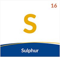 Sulphur agrovista academy