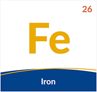 Fe Iron agrovista academy