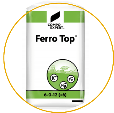 Ferro Top