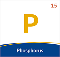 Phosphorus agrovista academy