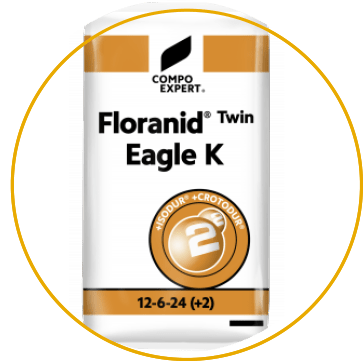 Floranid Twin Eagle