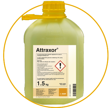 Attraxor®