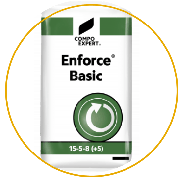 Enforce