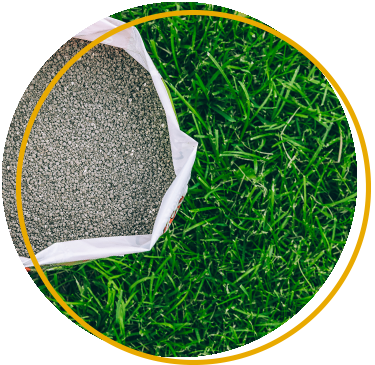 Nitrogen efficiency