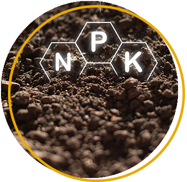 Soil pH and nutrients