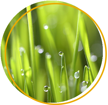 Soluble fertiliser